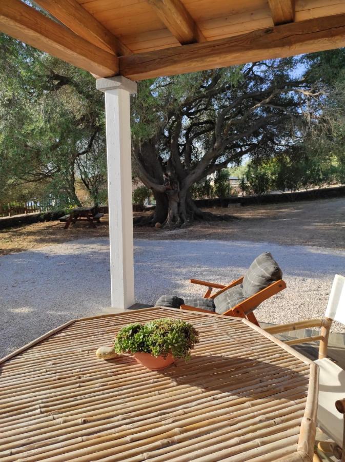 Villa Casa Olivastra à Dorgali Extérieur photo